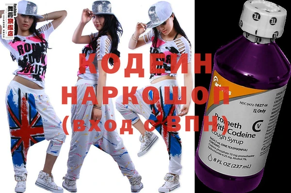 шишки Михайловск