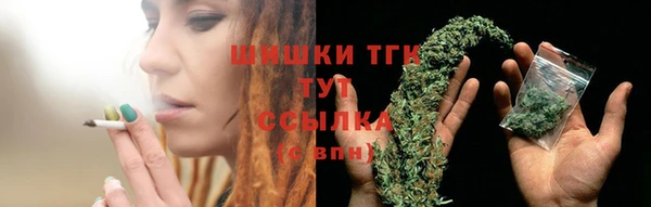спиды Михайлов