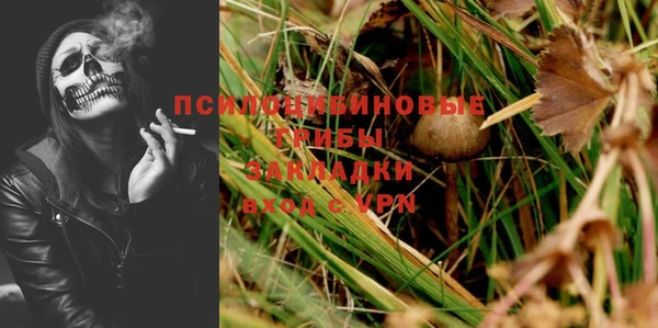 спиды Михайлов