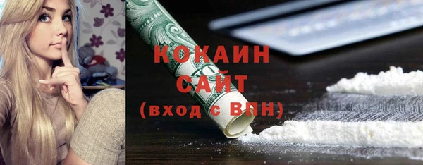 шишки Михайловск